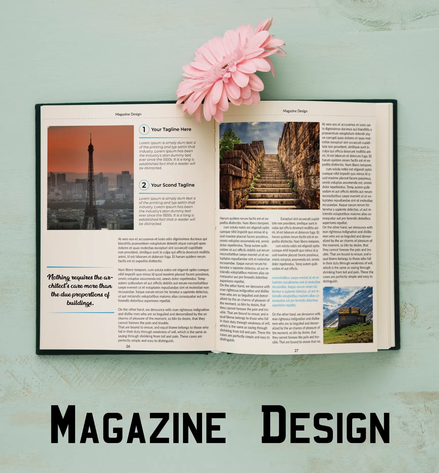 Magazine Design